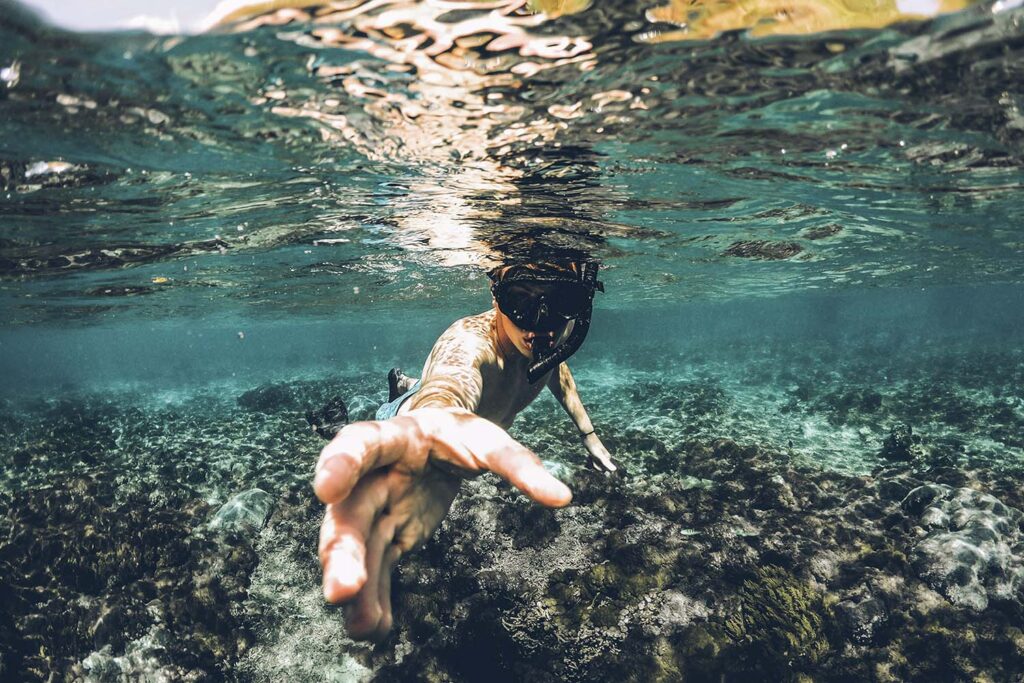 Deep Blue Dive Center Wins 2021 Tripadvisor Travel